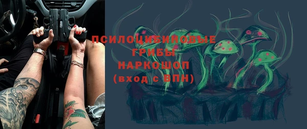 ГАЛЛЮЦИНОГЕННЫЕ ГРИБЫ Липки