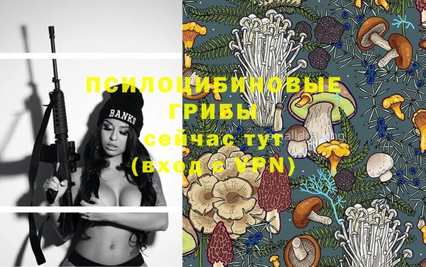 ПСИЛОЦИБИНОВЫЕ ГРИБЫ Ладушкин