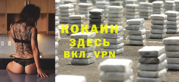 винт Лиски