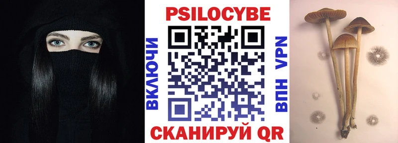 Псилоцибиновые грибы Cubensis Можайск