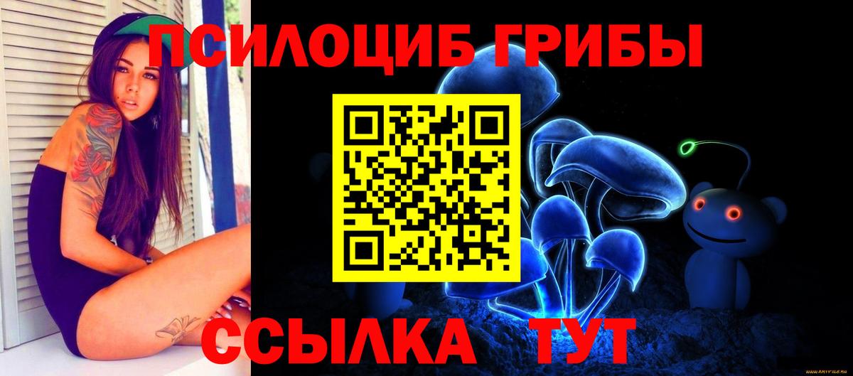 Можайск  Псилоцибиновые грибы Psilocybe  Вход с VPN  Галлюциногенные грибы MAGIC MUSHROOMS 